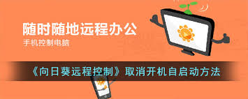 如何关闭向日葵远程控制