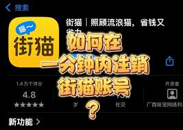 街猫app怎么搜索用户