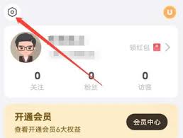 饭友聊天app如何开通会员