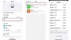 如何取消苹果手机订阅功能