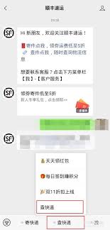 顺丰速运线上如何支付运费