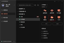 向日葵远程控制如何操作拷贝文件