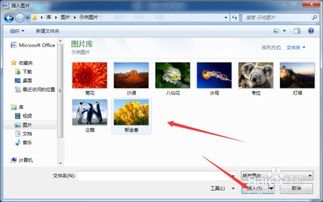 word中如何旋转图片