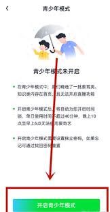 爱奇艺儿童版如何设置