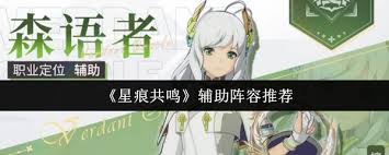 星痕共鸣辅助阵容如何搭配