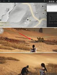 燕云十六声骆驼铃铛任务如何完成