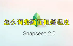 Snapseed如何调整画面倾斜