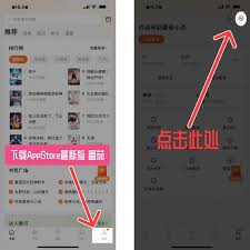 番茄小说怎么设置无广告