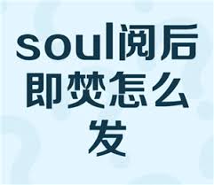 soul阅后即焚能不能截图