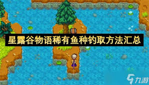 星露谷物语如何钓到稀有鱼