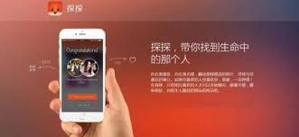 探探能用手机号找人吗